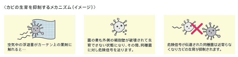 防カビレース 結露しやすい窓のカーテン対策とお手入れ方法 カーテン通販のお役立ち情報